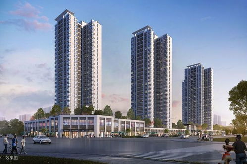 載譽歸來，衡陽名壹房地產開發再度布局新項目——發展看未來