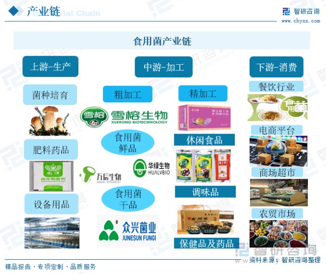 2022年中國食用菌行業全景速覽 加快食用菌工廠化進程，進一步提高行業集中度